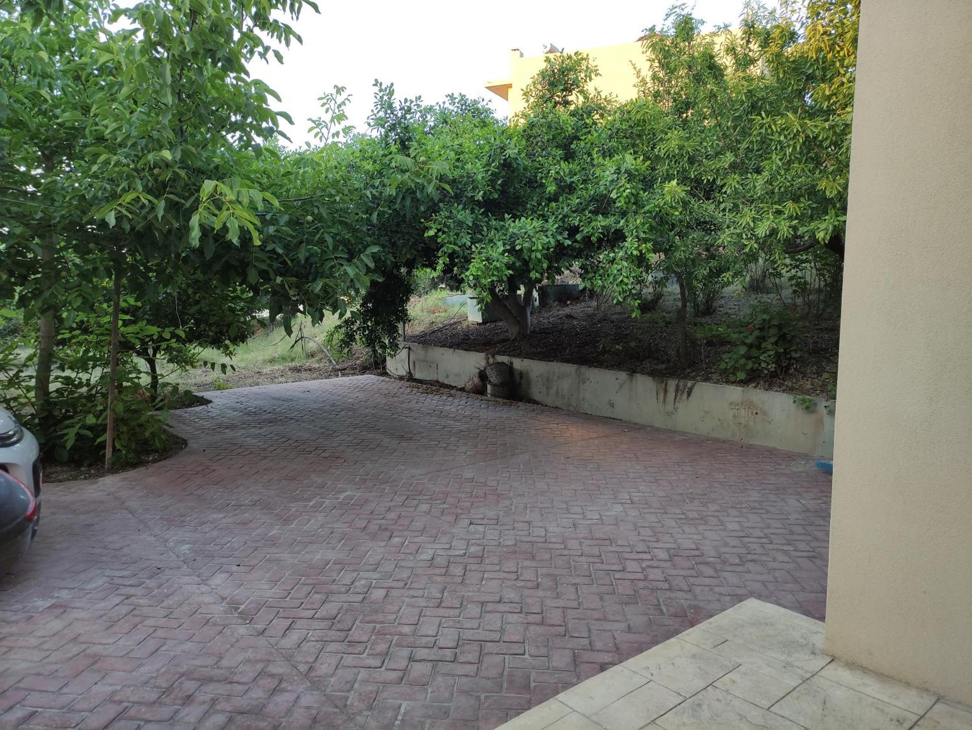 Under The Trees Lägenhet Heraklion Exteriör bild